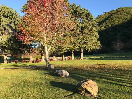 Parklands Marina Holiday Park