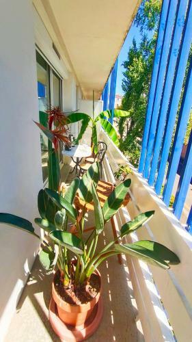 Apartamentos Votre Escale - Boule D'or