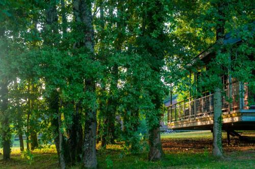 Apartamento Go�lia Le Domaine Des Nouailles