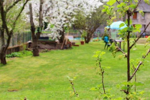 Apartment With One Bedroom In Orcival With Enclosed Garden