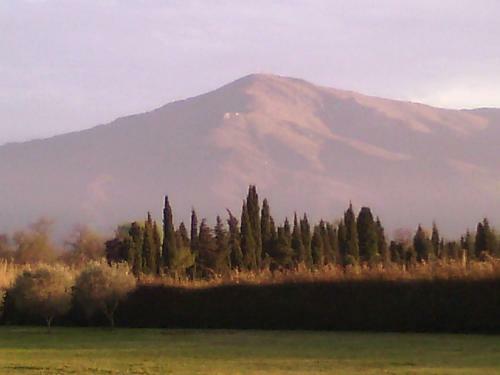 Mas Del Cargol