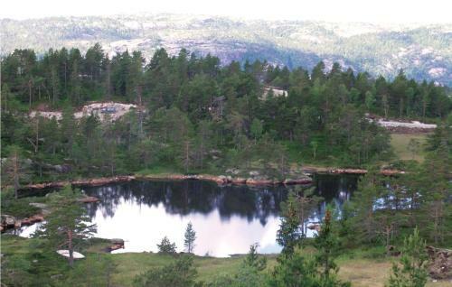 Holiday Home D�lemo Hillestadheia III