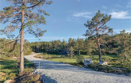 Holiday Home D�lemo Hillestadheia III