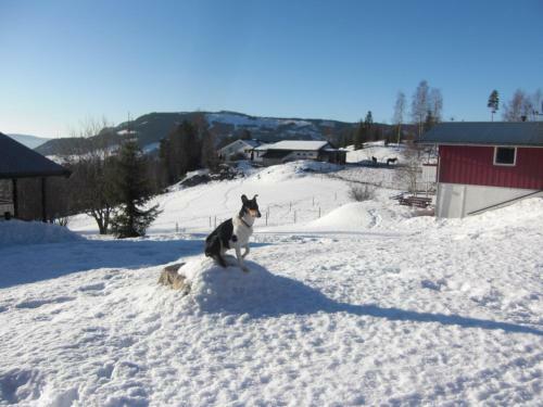 Agroturismo �sgardane Gjestegard