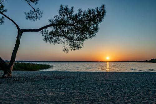 Camping Maeva Escapades L'arbre D'or ****