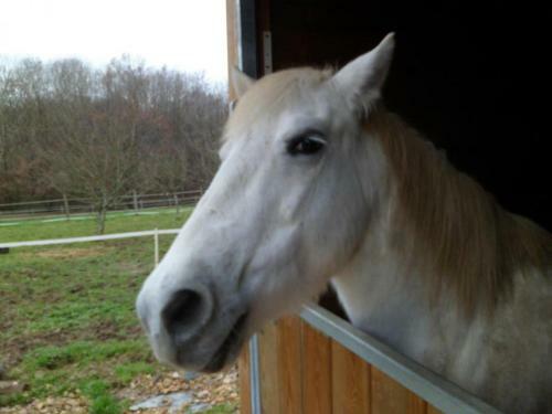 G�te Pirajoux, 3 Pi�ces, 5 Personnes - Fr-1-493-18