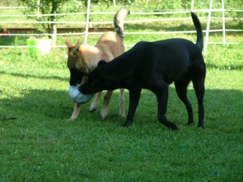 G�te Pirajoux, 3 Pi�ces, 5 Personnes - Fr-1-493-18