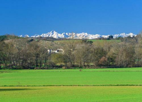 Plaigne Chateau Sleeps 28 Pool Wifi