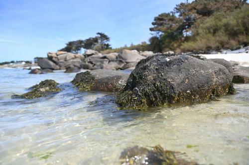 Bed & Breakfast Entre Terre Et Mer