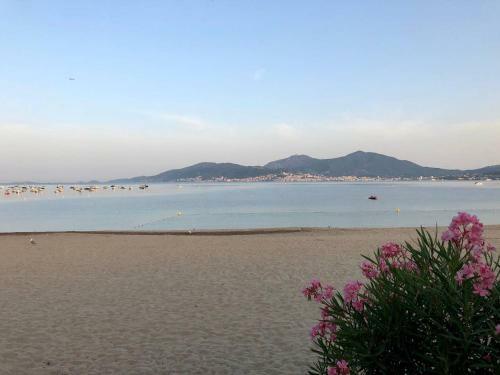 Apartamento T2 Climatis� � Porticcio, 100m de La Plage