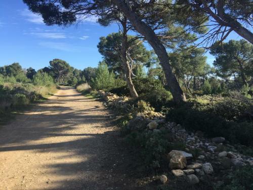 Les Mas De La Mer