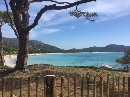 Apartamento R�sidence Saint Cyprien Plage