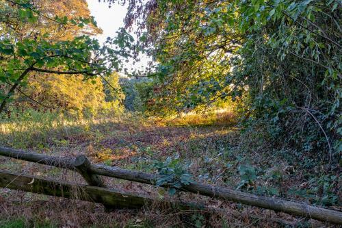 Hotel Ch�teau de Tress� Rest & Forest Spa