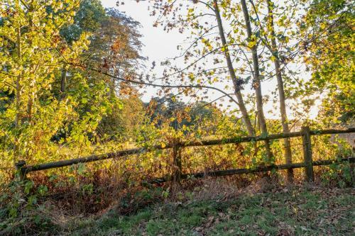 Hotel Ch�teau de Tress� Rest & Forest Spa