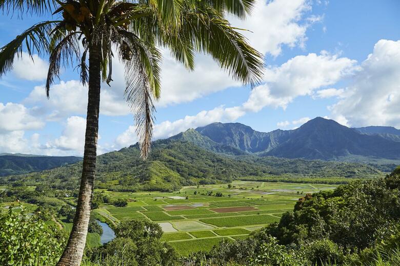 Hotel Cliffs At Princeville