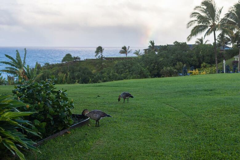 Hotel Cliffs At Princeville