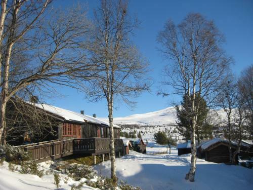 Hotel Putten Seter