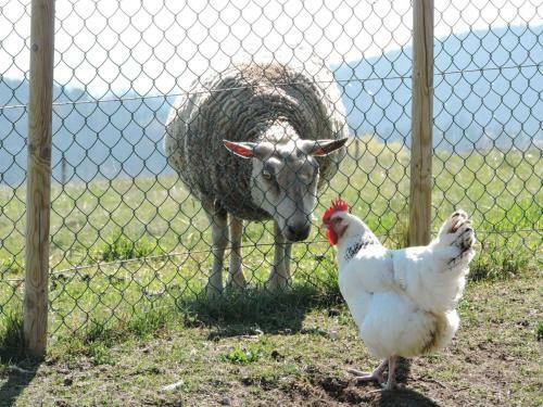 G�te Pralong, 3 Pi�ces, 4 Personnes - Fr-1-496-117