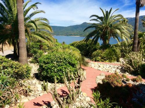 Apartamento R�sidence Figarella