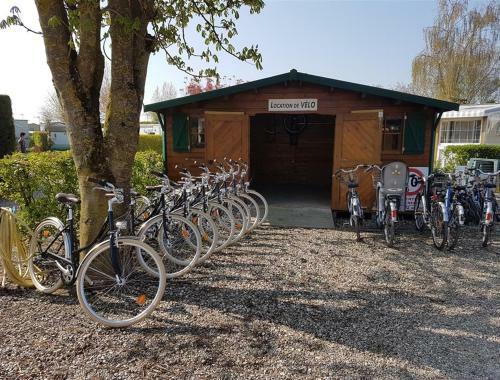 Camping De La Motte