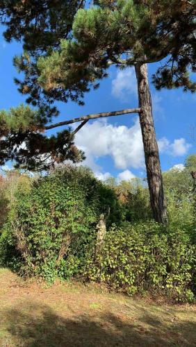 Hostal Domaine De Ris
