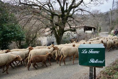 Hostal La Ferme Rolland