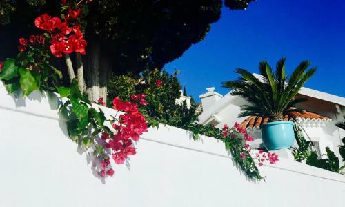 Apartamento Les Lilas