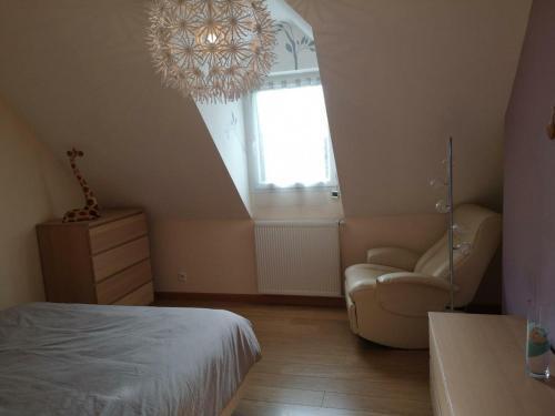 G�te Romagn�, 7 Pi�ces, 12 Personnes - Fr-1-538-68