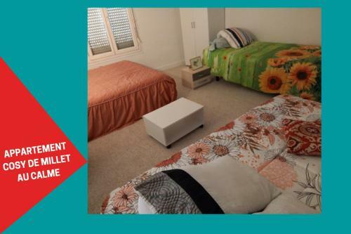 Apartamento Cosy Appartement de Millet