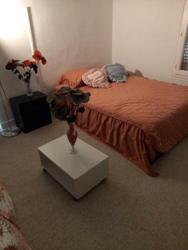 Apartamento Cosy Appartement de Millet