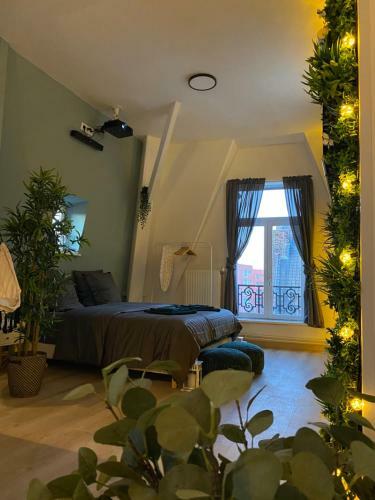 Apartamento Capsule Roubaix/lille Balneo*home Cin�ma*billard