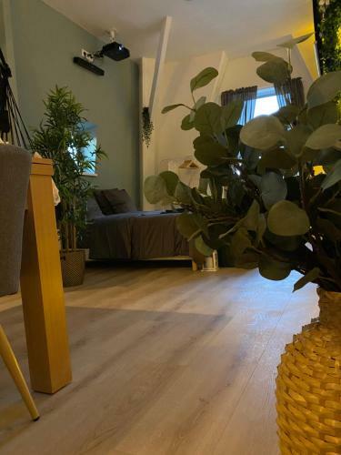 Apartamento Capsule Roubaix/lille Balneo*home Cin�ma*billard