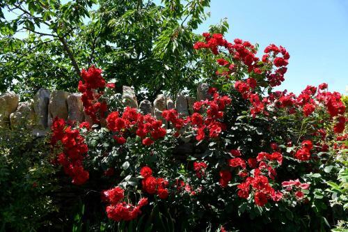 Bed & Breakfast Bastide Des Demoiselles