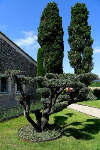 Bed & Breakfast Bastide Des Demoiselles