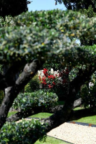 Bed & Breakfast Bastide Des Demoiselles