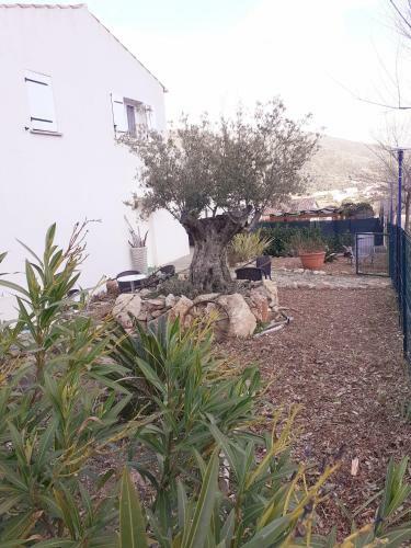 Apartamento A Vigna