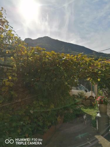 Bed & Breakfast Pati Del Sol