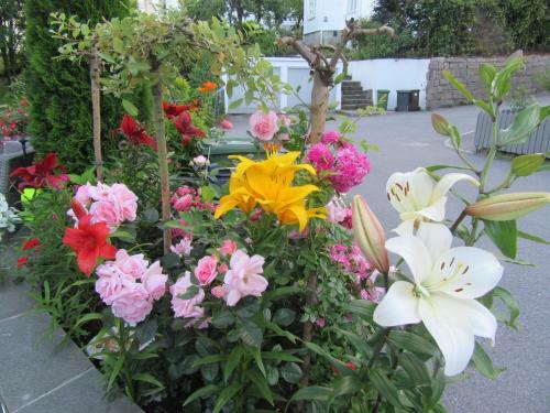 Apartamento Villa Baneheia