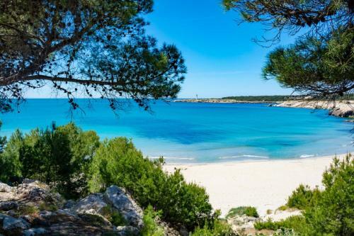 G�te Du Domaine de L'arbre de Vie