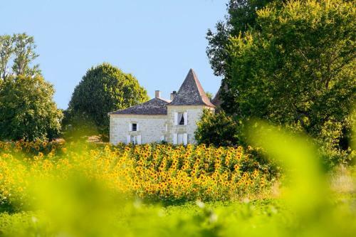 Saint-colomb-de-lauzun Chateau Sleeps 12 Pool Wifi