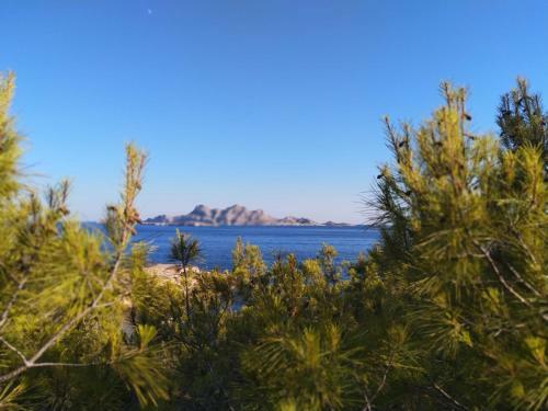 Apartamento La Madrague