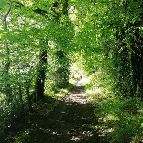 Bed & Breakfast La Cl� Du Maumont