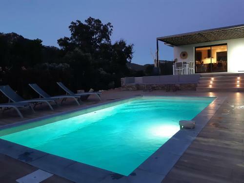 Villa Neuve Avec Piscine Chauffee