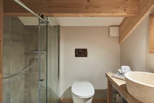 Luxury Chalet