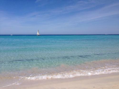 Apartamento Domaine A Mortella T2
