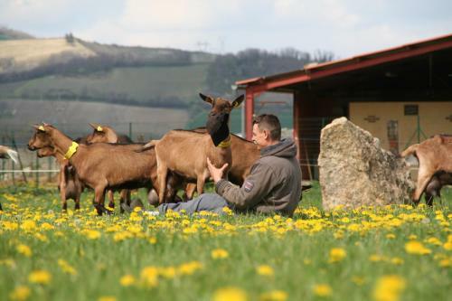 Agroturismo Chevrerie Des Oliviers