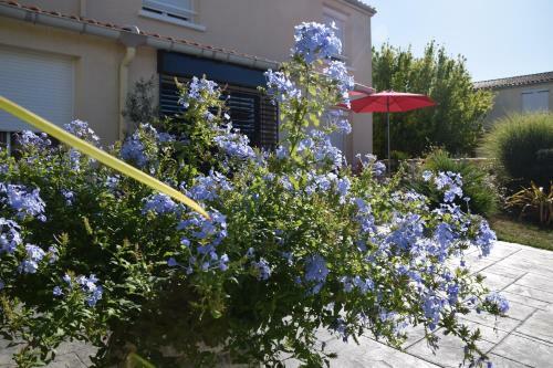 Bed & Breakfast La Villa 13&15