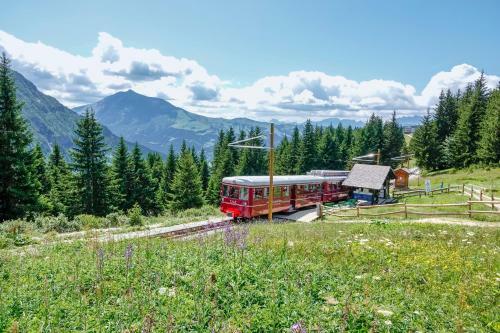 Sowell Hotels Mont Blanc Et Spa