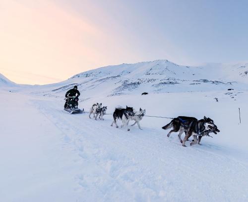 Albergue Spitsbergen Guesthouse