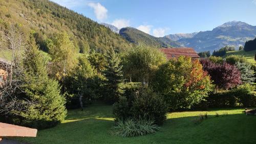 Chalet Lanfiam